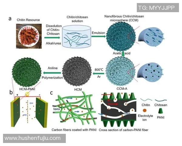 武汉排球队团队协作深度解析与其他球队的对比研究