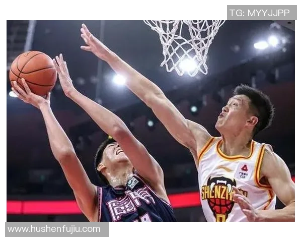 深圳排球队战术引发热议球迷与专家观点交锋分析