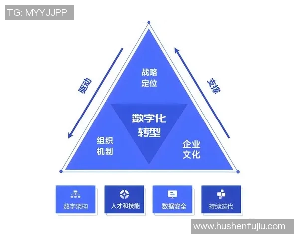 大师赛特别报道：成都篮球队的转型之路