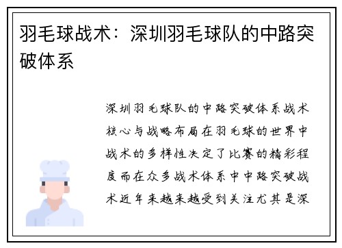 羽毛球战术：深圳羽毛球队的中路突破体系