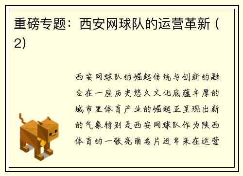 重磅专题：西安网球队的运营革新 (2)