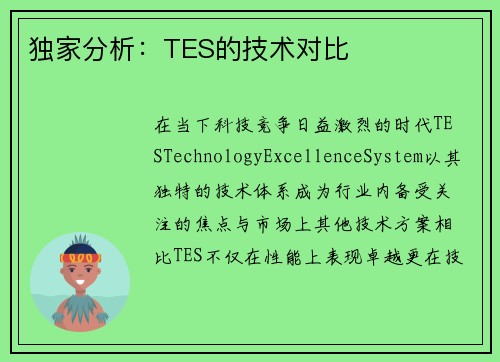 独家分析：TES的技术对比