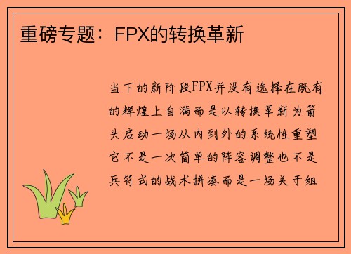 重磅专题：FPX的转换革新